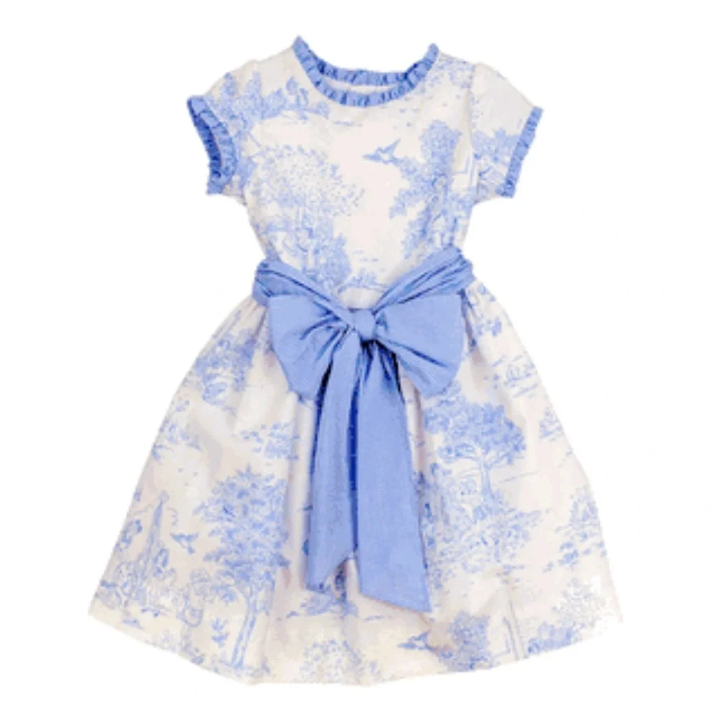 Bailey Boys Blue Belle Toille Empire Dress - Picture 1 of 5